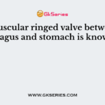 The muscular ringed valve between oesophagus and stomach is known as