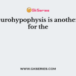 The neurohypophysis is another name for the