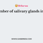 The number of salivary glands in man is