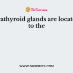 The parathyroid glands are located close to the