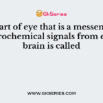 The part of eye that is a messenger of electrochemical signals from eye to brain is called