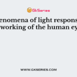 The phenomena of light responsible for the working of the human eye is
