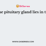 The pituitary gland lies in the