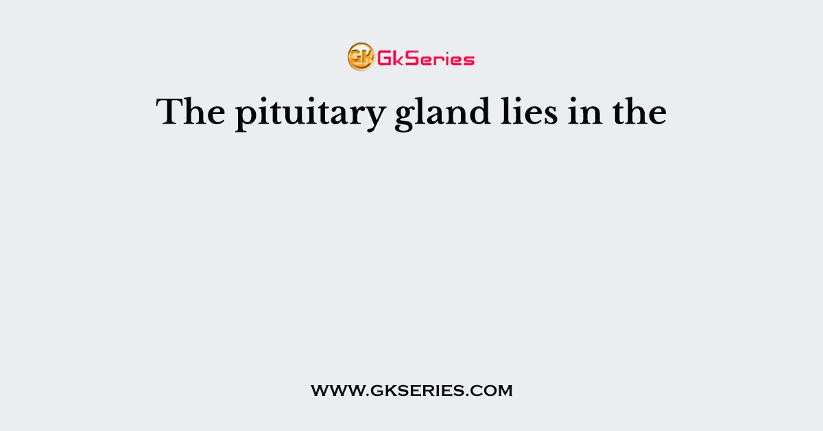 The pituitary gland lies in the