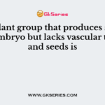 The plant group that produces spores and embryo but lacks vascular tissues and seeds is