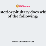 The posterior pituitary does which one of the following?