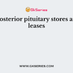 The posterior pituitary stores and releases