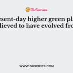The present-day higher green plants are believed to have evolved from