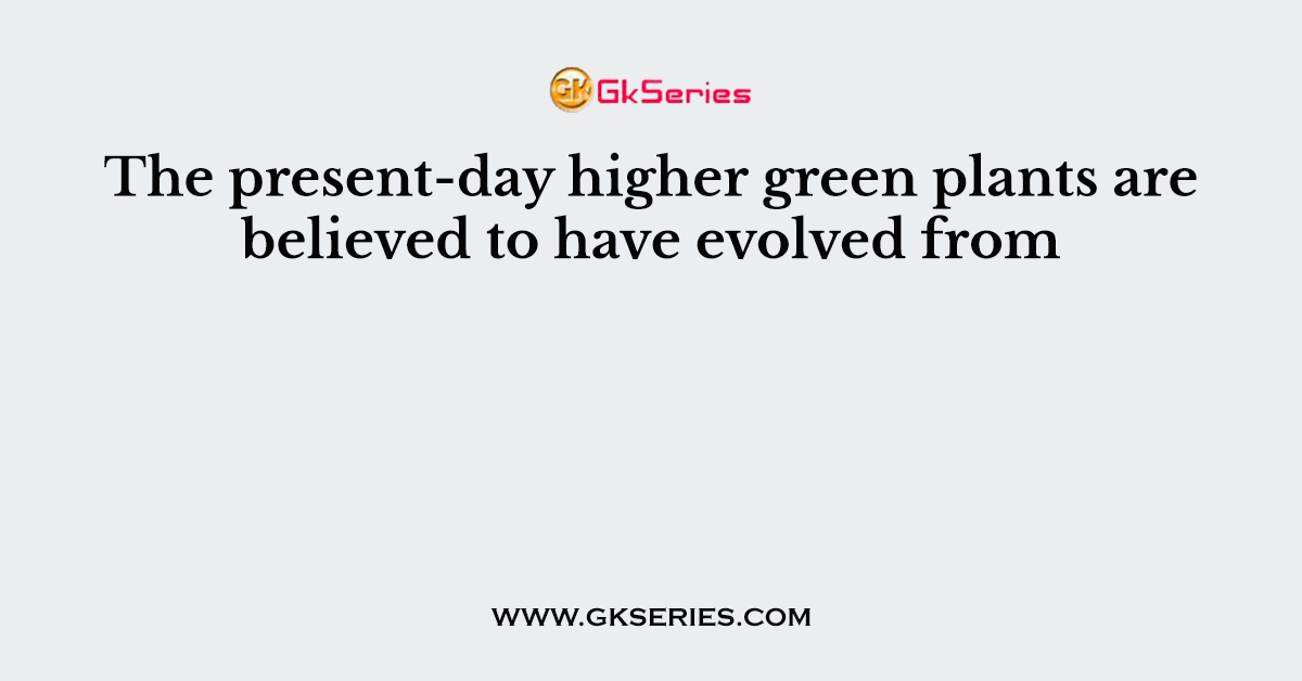 The present-day higher green plants are believed to have evolved from