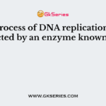 The process of DNA replication is affected by an enzyme known as