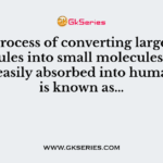 The process of converting large food molecules into small molecules which can be easily absorbed into human body is known as…