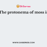 The protonema of moss is