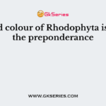 The red colour of Rhodophyta is due to the preponderance