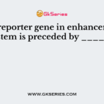 The reporter gene in enhancer trap system is preceded by ______