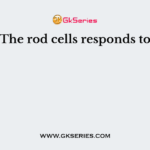 The rod cells responds to