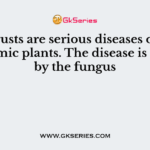 The rusts are serious diseases of our economic plants. The disease is caused by the fungus