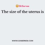 The size of the uterus is
