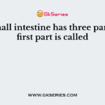 The small intestine has three parts. The first part is called