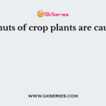 The smuts of crop plants are caused by