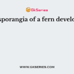 The sporangia of a fern develop on