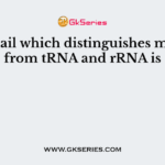 The tail which distinguishes mRNA from tRNA and rRNA is