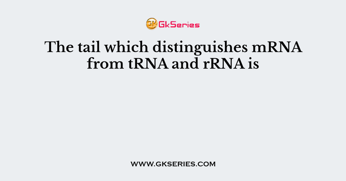 The tail which distinguishes mRNA from tRNA and rRNA is