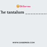 The tantalum _________