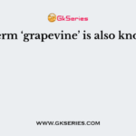 The term ‘grapevine’ is also known as