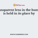 The transparent lens in the human eye is held in its place by