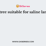 The tree suitable for saline lands is