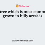 The tree which is most commonly grown in hilly areas is
