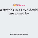 The two strands in a DNA double helix are joined by