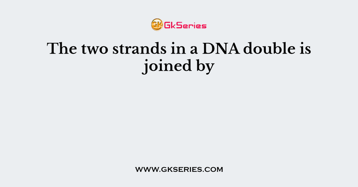 The two strands in a DNA double is joined by
