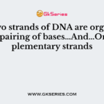 The two strands of DNA are organized by the pairing of bases…And…On complementary strands