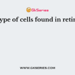The type of cells found in retina are