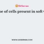 The type of cells present in soft wood is