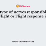 The type of nerves responsible for Flight or Flight response is
