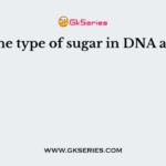 The type of sugar in DNA are