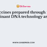 The vaccines prepared through recombinant DNA technology are