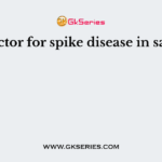 The vector for spike disease in sandal is