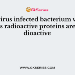The virus infected bacterium which contains radioactive proteins are not radioactive