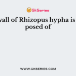 The wall of Rhizopus hypha is composed of