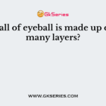 The wall of eyeball is made up of how many layers?