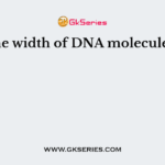 The width of DNA molecule is