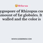 The zygospore of Rhizopus contains much amount of fat globules. It is thick walled and the color is