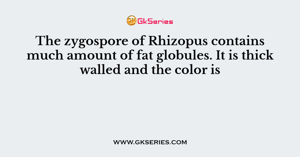 The zygospore of Rhizopus contains much amount of fat globules. It is thick walled and the color is
