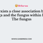 There exists a close association between the alga and the fungus within lichen. The fungus