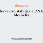 This force can stabilize a DNA double-helix