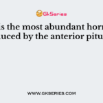This is the most abundant hormone produced by the anterior pituitary
