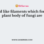 Thread like filaments which form the plant body of fungi are